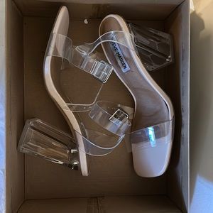 Clear and Nude Steve Madden Heels